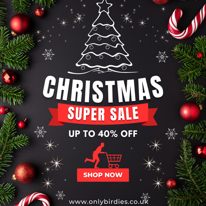 Golf Savings: Christmas Sale Spectacular!