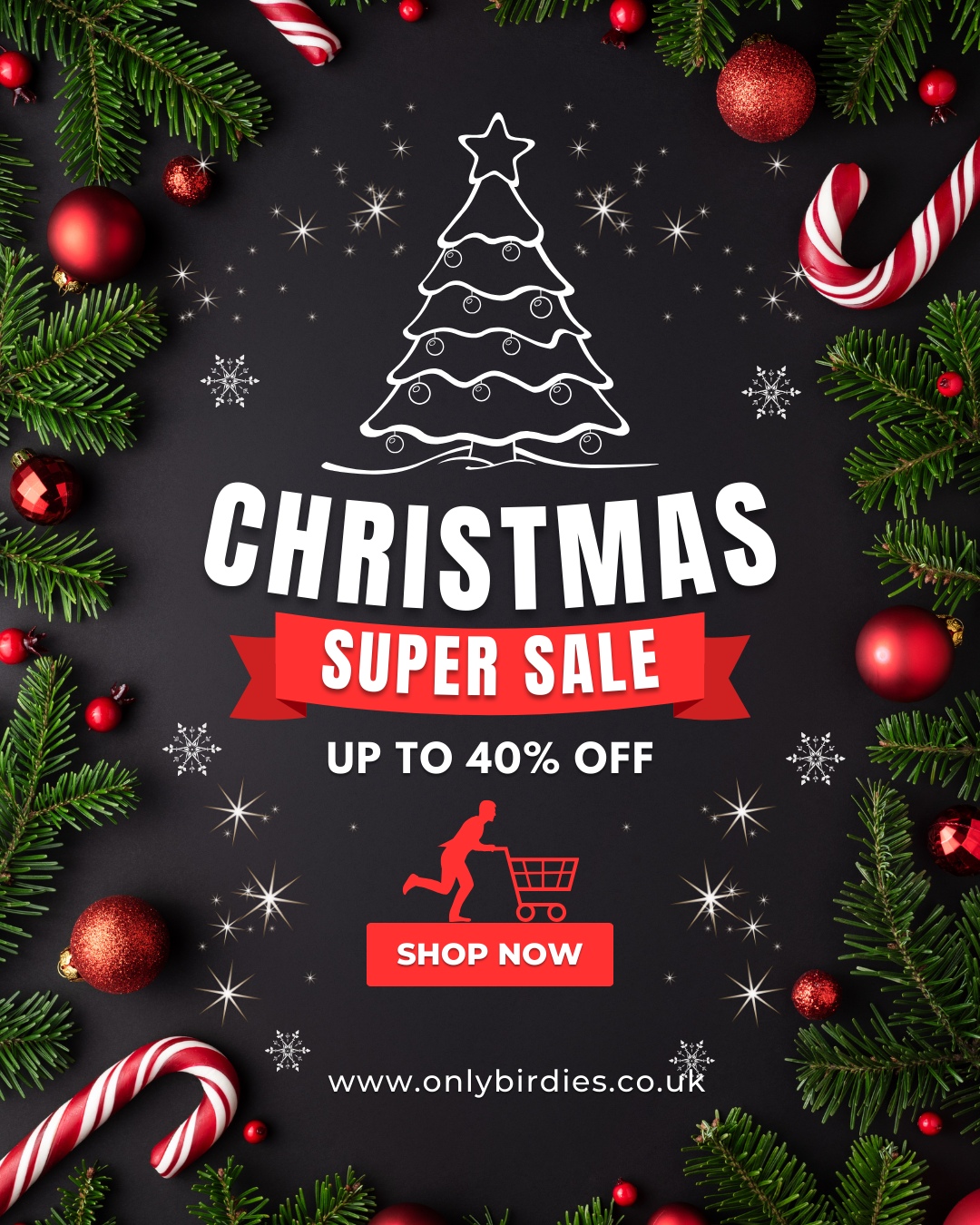 Golf Savings: Christmas Sale Spectacular!
