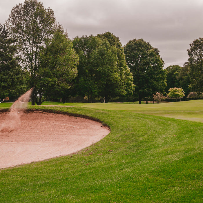 Best Ladies Golf Clubs: Top Picks Reviewed
