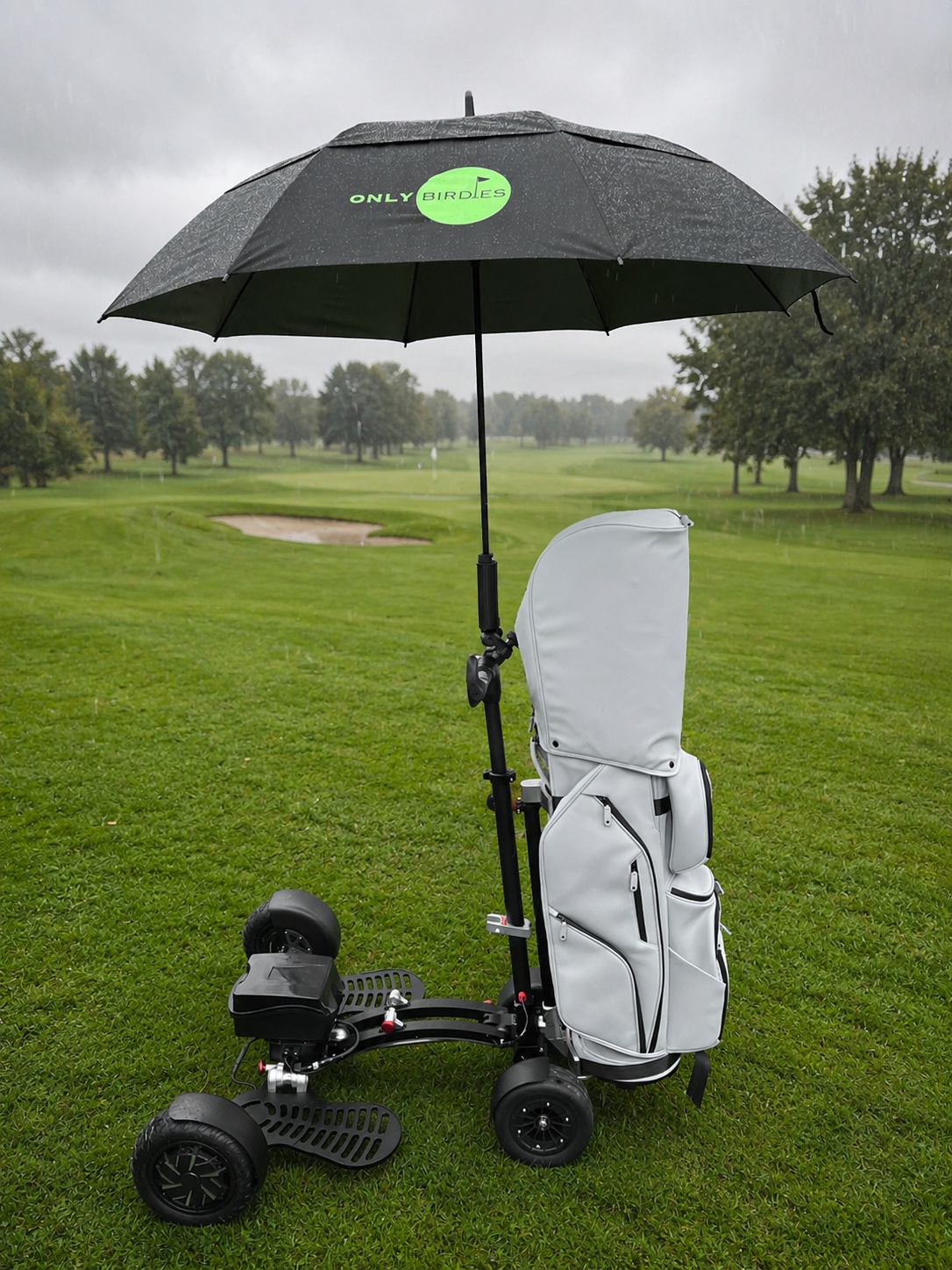 Only Birdies Golf Umbrella